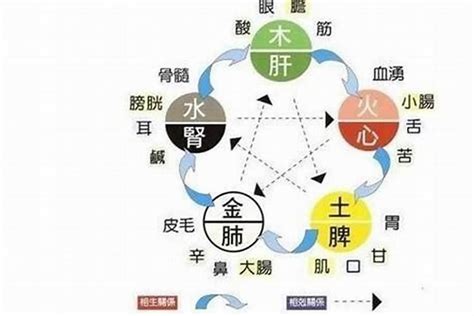 五行欠金水|五行缺水会怎么样 命里缺水的人应该怎么办